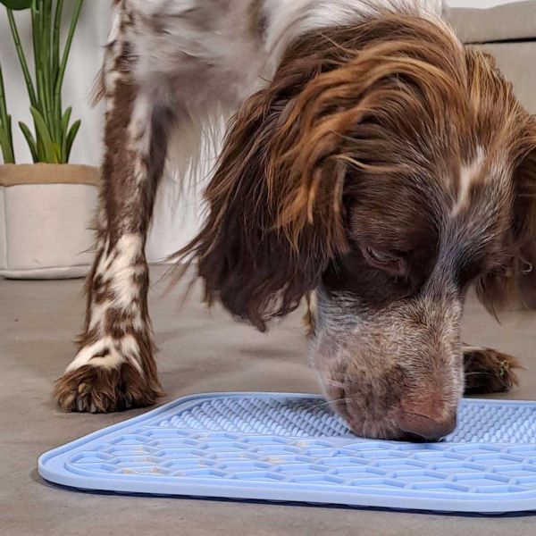 Tapis à lécher pour chien en silicone 20 x 20 cm - ZOLUX
