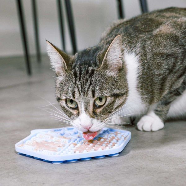 Tapis à lécher en silicone pour chat - ZOLUX