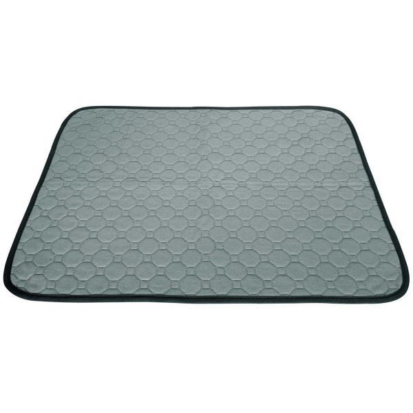 Tapis de propreté absorbant et lavable