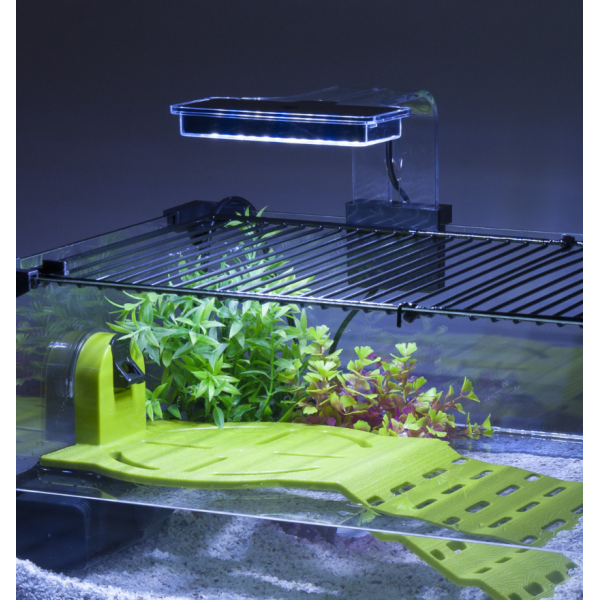Terrarium pour tortues d'eau Karapas 60 - ZOLUX