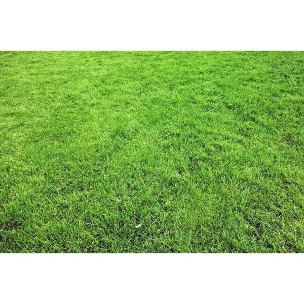 Terreau création et entretien pelouse avec mycorhizes 40 litres - SEC-0134