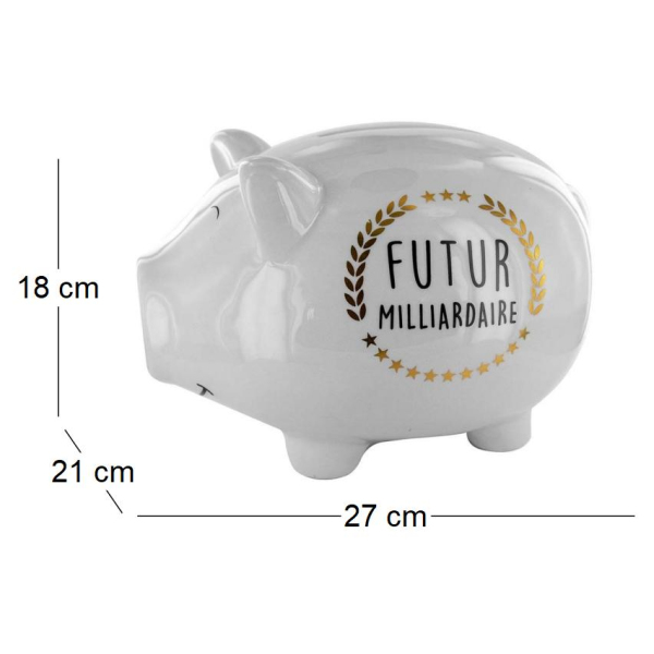 Tirelire cochon XXL Futur milliardaire - CMP-2594