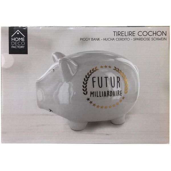 Tirelire cochon XXL Futur milliardaire - THE CONCEPT FACTORY