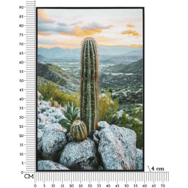 Toile décorative avec cadre Cactus 60 x 4 x 90 cm - MAU-0602