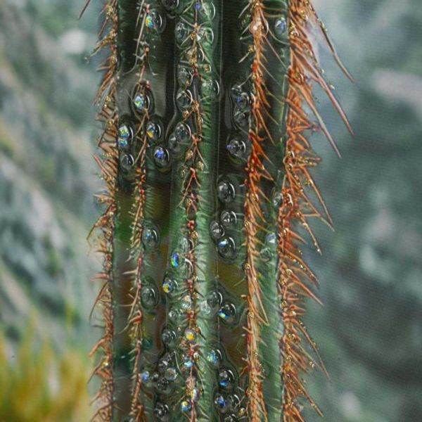 Toile décorative avec cadre Cactus 60 x 4 x 90 cm - 6