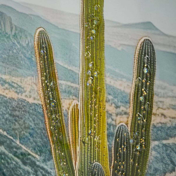 Toile décorative avec cadre Cactus 60 x 4 x 90 cm - 72,90