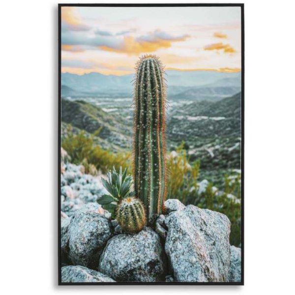Toile décorative avec cadre Cactus 60 x 4 x 90 cm