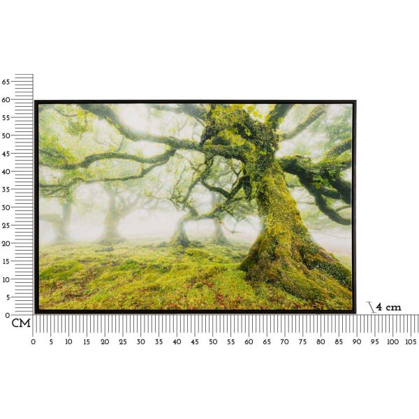 Toile décorative avec cadre Forest 90 x 4 x 60 cm - MAU-0604