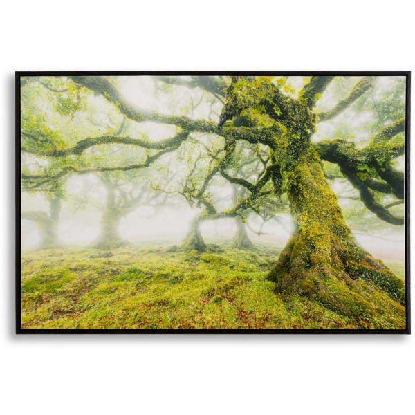 Toile décorative avec cadre Forest 90 x 4 x 60 cm