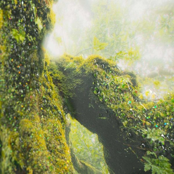 Toile décorative avec cadre Forest 90 x 4 x 60 cm - 6