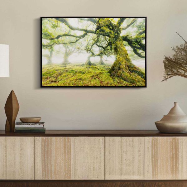 Toile décorative avec cadre Forest 90 x 4 x 60 cm - MAURO FERRETTI