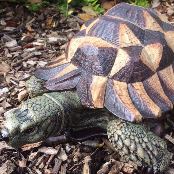 Tortue en résine 32 cm - VID-0132