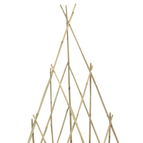 Treillis tipi en bambou - AUB-5528
