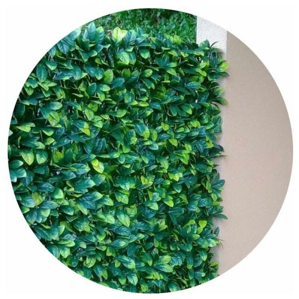 Treillis en bois de saule feuilles de troène doré (Lot de 6)