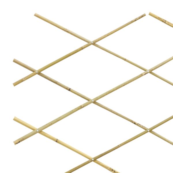Treillis extensible en bambou - AUB-5527