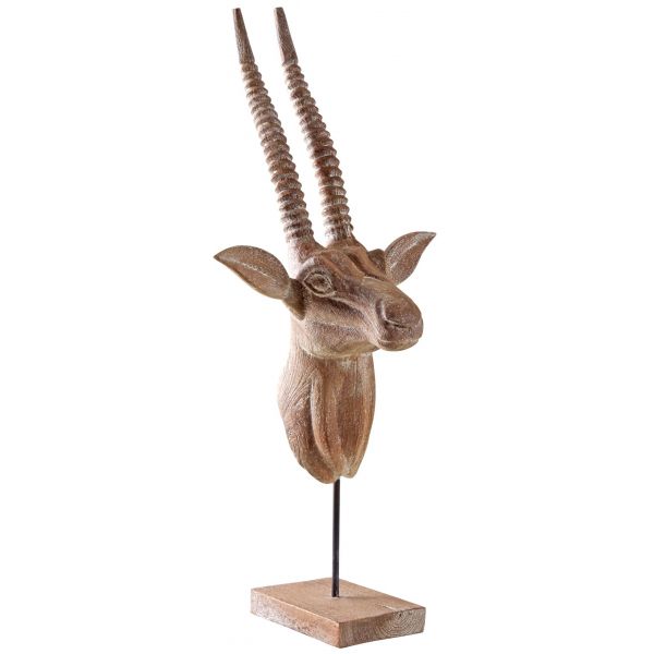Trophée d'antilope 