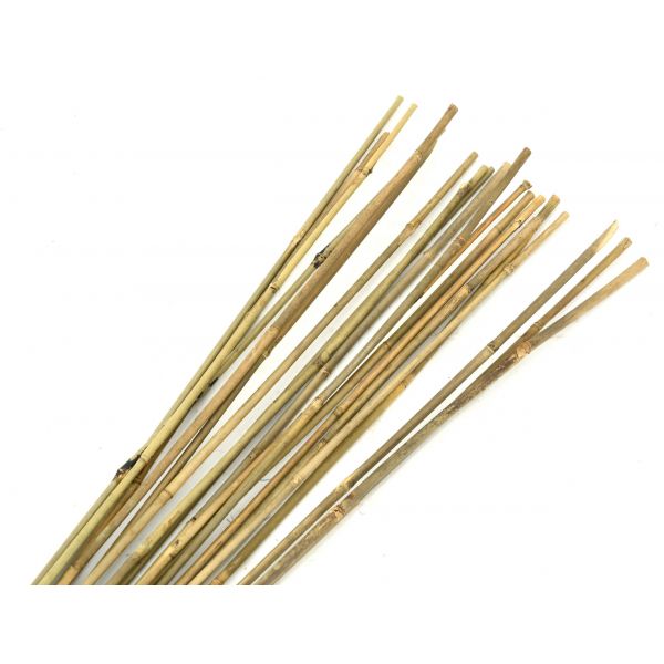 Tuteurs en bambou naturel (Lot de 20)