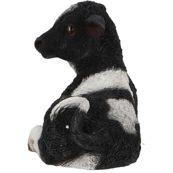 Veau noir et blanc couché en résine - 6