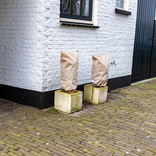 Voile d'hivernage respirante 40 x 60 cm (Set de 3) - GARDEN TOOLS