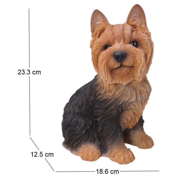 Yorkshire assis en résine 18 cm - 5