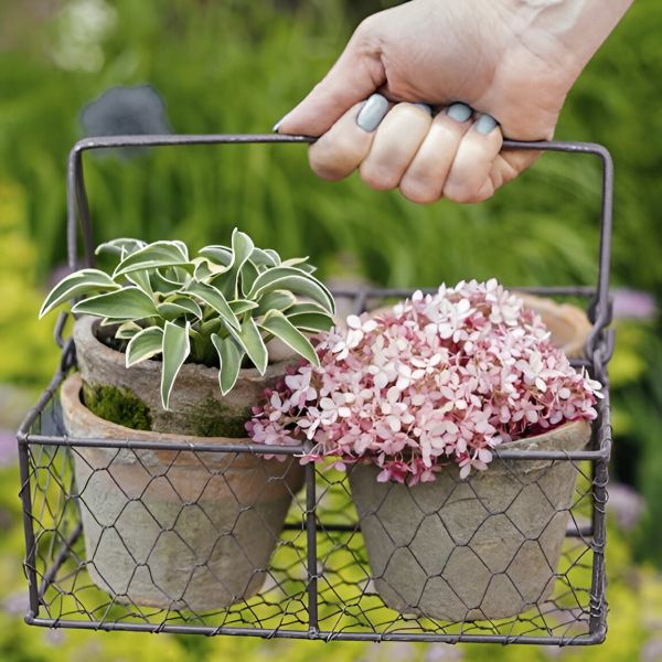 4 pots dans panier métal - ESSCHERT DESIGN