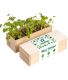 Mini potager d’herbes aromatiques (Herbes aromatiques)