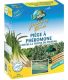 Piège à phéromones contre la teigne du poireau