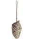 Pomme de pin fourrée de graines et graisse pour oiseaux (Unitaire)