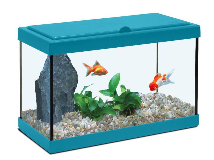 Decoration Enfant Bleu Lagon Decoration Enfant Bleu Lagon
