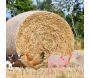 Animal de la ferme décoratif sur pic - ESSCHERT DESIGN