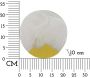 Applique murale en verre Moon 20 x 10 cm - MAU-0527