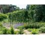 Arche de jardin carrée en acier galvanisé Square - 587,10