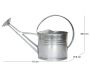 Arrosoir en zinc avec pomme d'arrosage amovible 8 litres - 5
