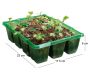 Bac à semences 12 pots Gro-sure - GAM-0399