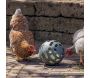 Balle à friandises pour poules 15 cm - GREENLIFE by BIOM Paris