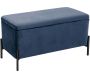 Banc avec coffre de rangement en velours Snog