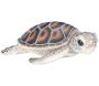 Bébé tortue marine en résine