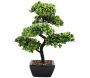 Bonsaï artificiel en pot 37 cm modèle aléatoire - SIF-0410