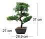 Bonsaï artificiel en pot 37 cm modèle aléatoire - 8