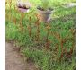 Bordure de jardin décorative en fer forgé rouillé - 319