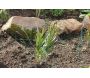 Bordure de jardin en métal Lawn 3m - 20,90