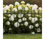 Bordure de jardin en métal 156 x 2,2 x 117 cm - 94,90