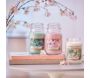 Bougie jarre en verre senteur fleurs de cerisier - 5