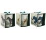 Bougie en pot Safari 8 x 10 cm (Lot de 3)