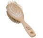 Brosse chien en soies claires et tiges de bois