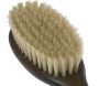 Brosse pelage de chat en soies claires - BUS-0142