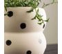 Cache pot Dapne 16x16x13 cm - VEN-0703