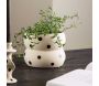 Cache pot Dapne 16x16x13 cm - VENTURE HOME