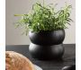 Cache pot Dapne 16x16x13 cm - VENTURE HOME
