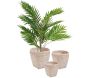 Cache-pots en bambou - 219